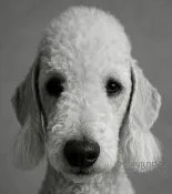 Рисунок к задаче