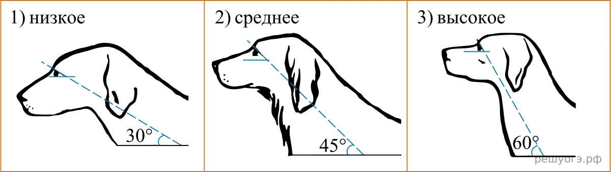 Рисунок к задаче