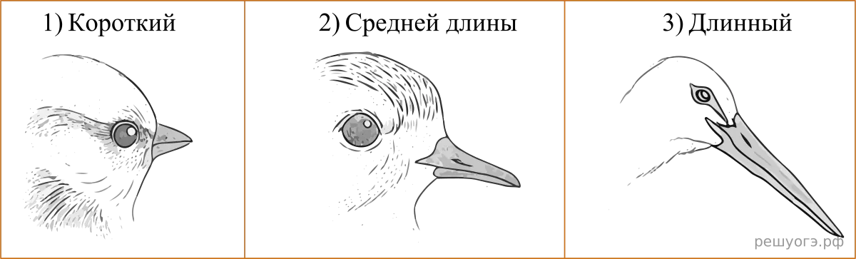 Рисунок к задаче