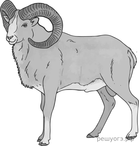 Рисунок к задаче