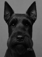Рисунок к задаче