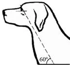 Рисунок к задаче