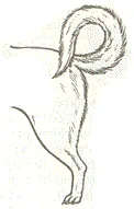 Рисунок к задаче