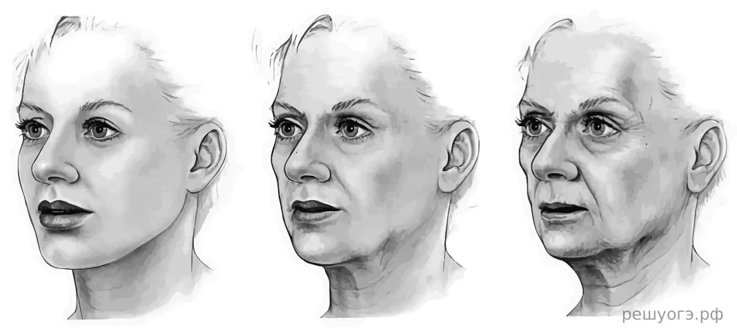 Рисунок к задаче