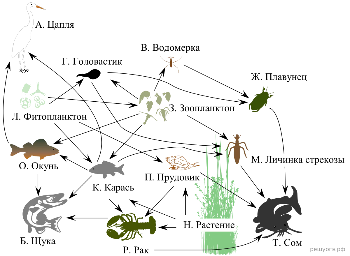 Рисунок к задаче