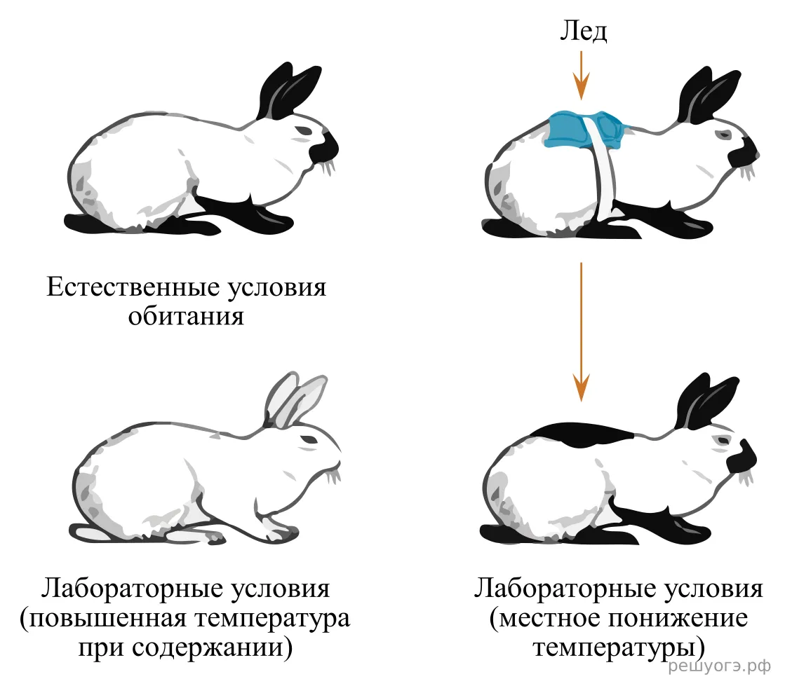 Рисунок к задаче