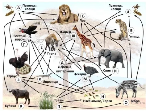 Рисунок к задаче