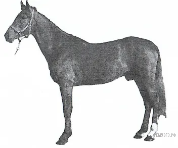 Рисунок к задаче