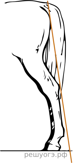 Рисунок к задаче