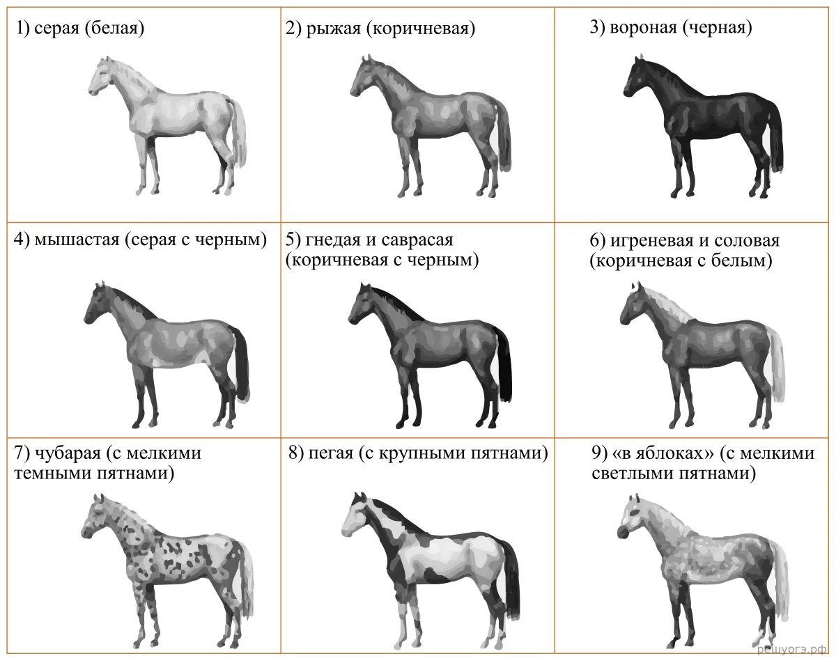 Рисунок к задаче