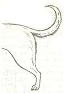 Рисунок к задаче