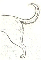 Рисунок к задаче