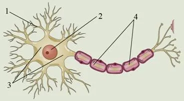Рисунок к задаче