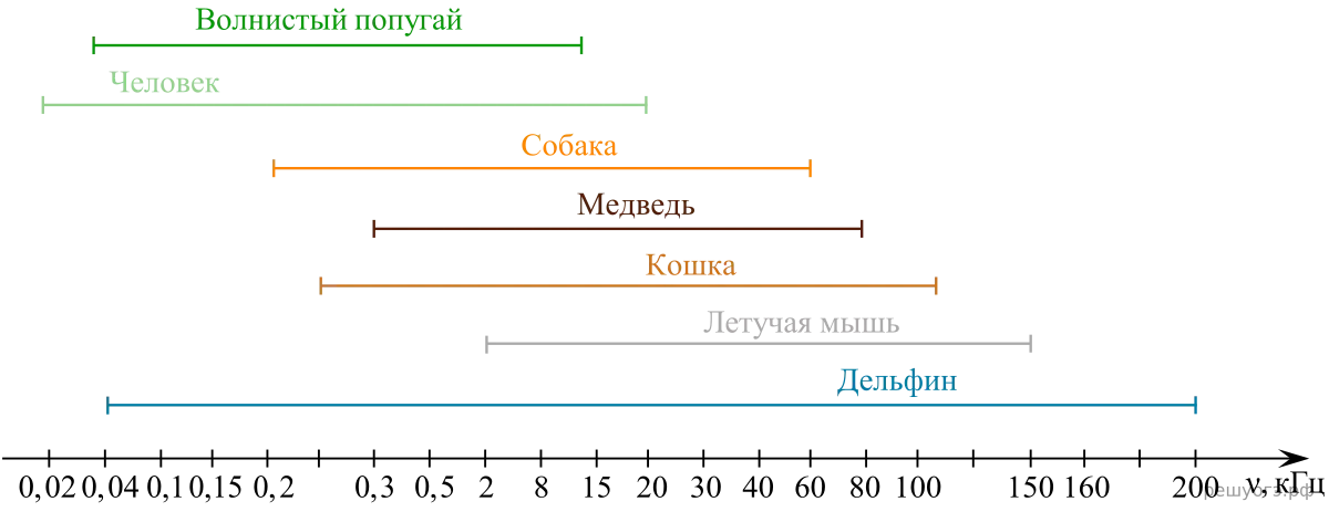 Рисунок к задаче